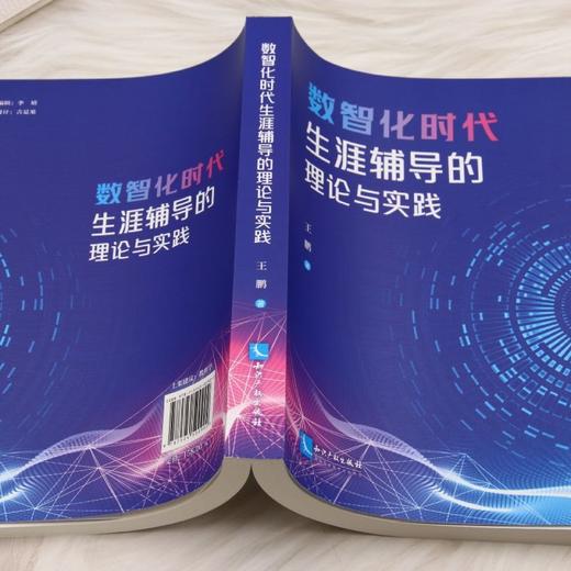 数智化时代生涯辅导的理论与实践 商品图3