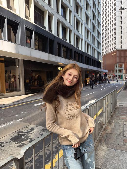 【非质量问题不退】PP18-驴家 2026春夏浮雕字母圆领针织衫  (CC*PP) 商品图3