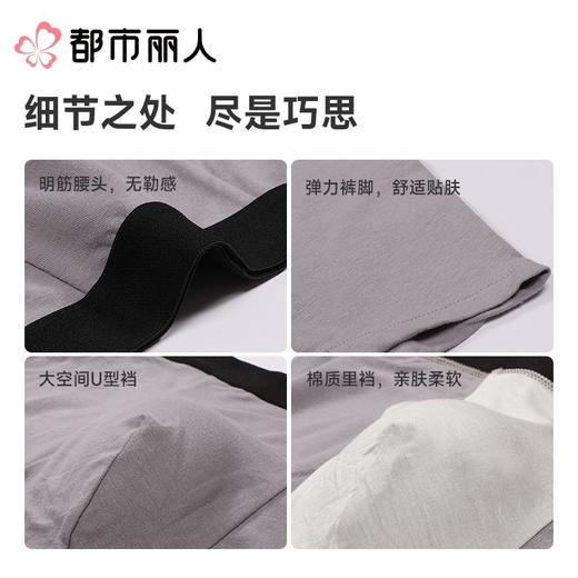 都市丽人内裤男士内裤棉质内裤人棉平角内裤明筋内裤FKCZ01 商品图3