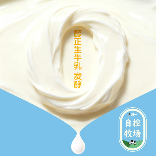 【预售】归一纯典益生菌风味发酵乳低温酸奶180g*12袋原味【7天内发货】 商品图3