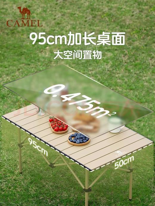 【金皇会员299金币专享】骆驼（CAMEL）【京东专供】户外折叠桌折叠椅露营野餐野营桌椅 1桌4椅套装 商品图1