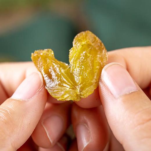 枣阿布绿香妃葡萄干  420g 商品图3
