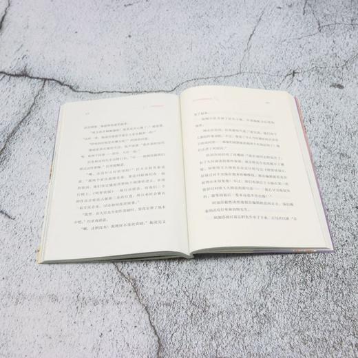 富士山的漫画怪盗 商品图4