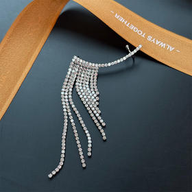 摇曳流苏点缀璀璨水钻银针耳环-纪念日百货门店同款168644088