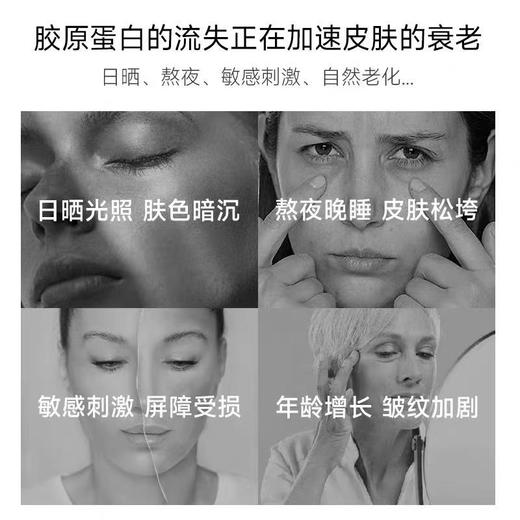 五个女博士 胶原蛋白肽饮品 48ml*8瓶 商品图2