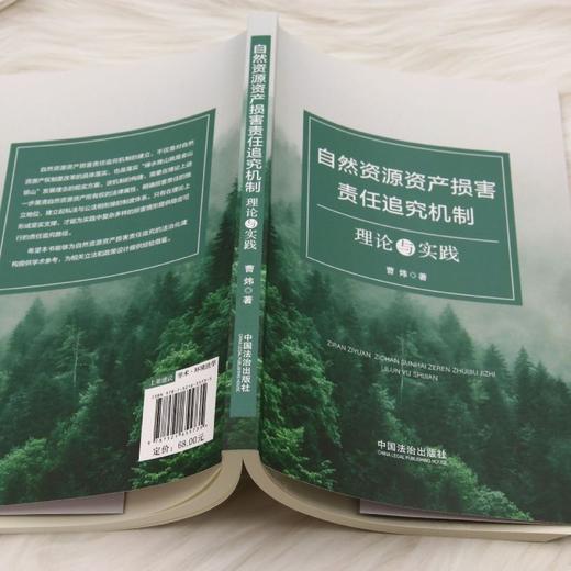 自然资源资产损害责任追究机制:理论与实践 商品图3