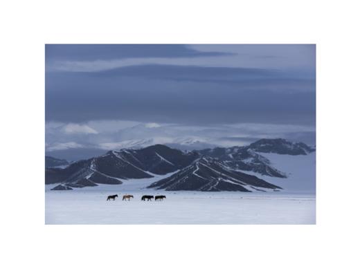 李刚丨一马当先 收藏级礼品照片 商品图2