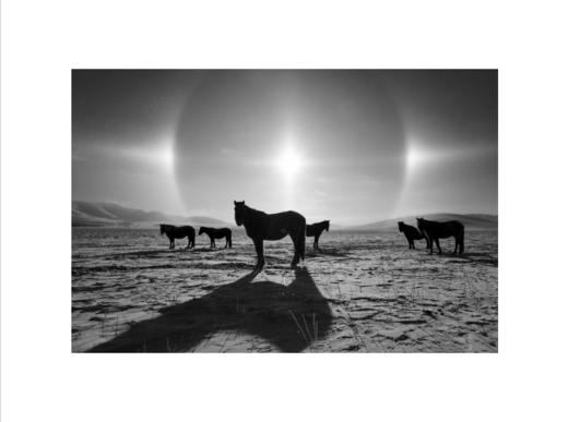 李刚丨一马当先 收藏级礼品照片 商品图3