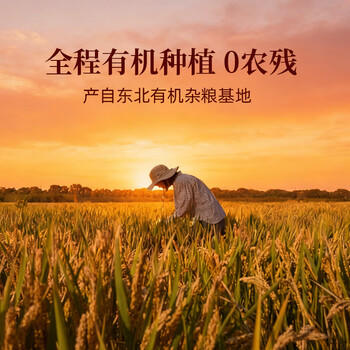 素养生活有机杂粮礼盒7.7斤/提 礼盒 节日礼盒 节日礼品 送礼礼盒 /粮油调味 /杂粮 /其他杂粮 商品图3