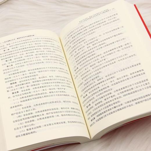 最新刑法及司法解释全编:含刑法条文罪名:2026年版 商品图4