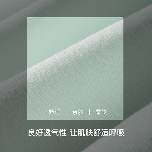 【满3条/29元】（中版）【秀黛】女精选棉质平角裤女士内裤【1条】W7339001T【门店同款】【内裤非质量问题不退换，介意勿拍】 商品图3