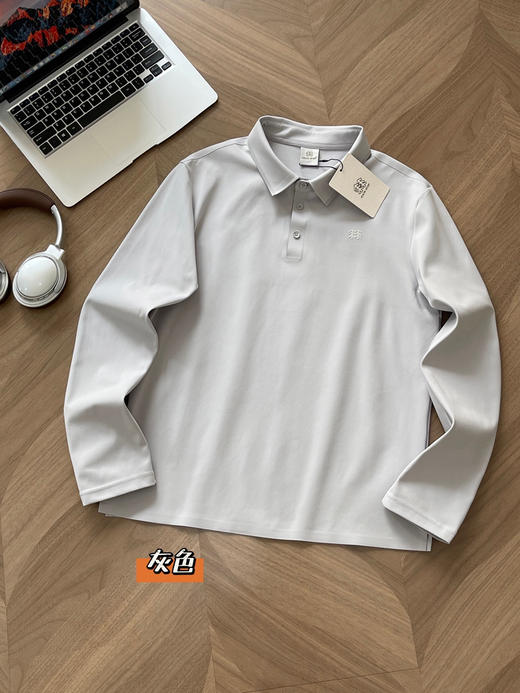 原单正品 KOLON SPORT可隆男士拉绒商务POLO衫
颜色：黑色，灰色
尺码：L，XL，XXL，XXXL，4XL 商品图0