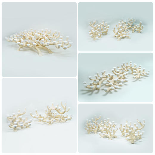 150缸枝状烧制造景 商品图2