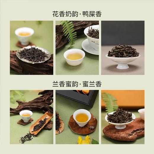有机凤凰单从茶 鸭屎香/蜜兰香 有机茶礼盒 160g 商品图9