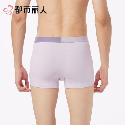 都市丽人内裤男士内裤50S棉内裤棉平角内裤明筋内裤FKCC29 商品图2