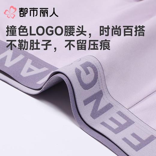 都市丽人内裤男士内裤50S棉内裤棉平角内裤明筋内裤FKCC29 商品图4