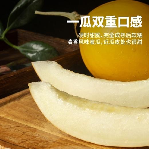 【分销】【原产地直发】海南蜜瓜/豹纹珈狮蜜瓜/冰糖脆梨甜瓜/金美人蜜瓜/倾帝蜜瓜 来自海南核心产区 让甜度与清爽感达到完美平衡 商品图4