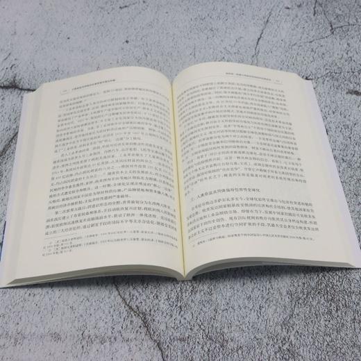 人类命运共同体的伦理审视与理论构建 商品图4