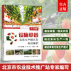 全图解设施草莓高效生产模式及实战案例【官方正版，可开发票】 商品缩略图0