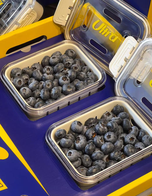 新鲜维度蓝莓｜爆款升级💜 专属高质感蓝莓叉配齐，品质依旧在线，果肉脆甜饱满，#福利价闭眼入，送礼自留都合适✅ 商品图4