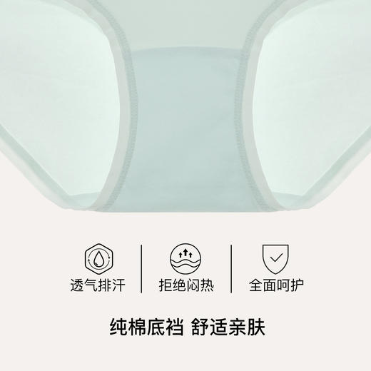 【满3条/29元】（中版）【秀黛】女精选棉质平角裤女士内裤【1条】W7339001T【门店同款】【内裤非质量问题不退换，介意勿拍】 商品图2