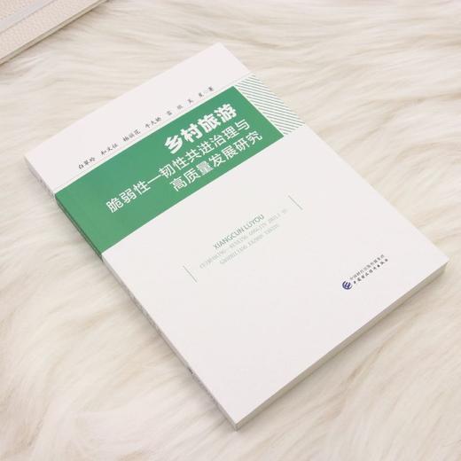 乡村旅游脆弱性--韧性共进治理与高质量发展研究 商品图1