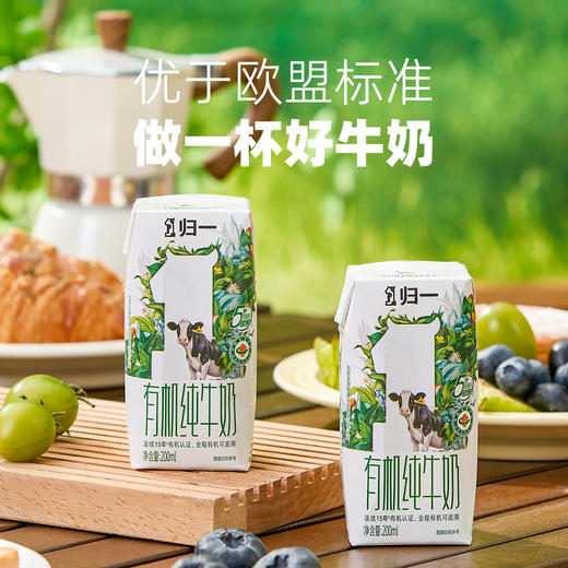归一有机纯牛奶200mL*12盒*2箱100%有机生牛乳礼盒整箱装 商品图3