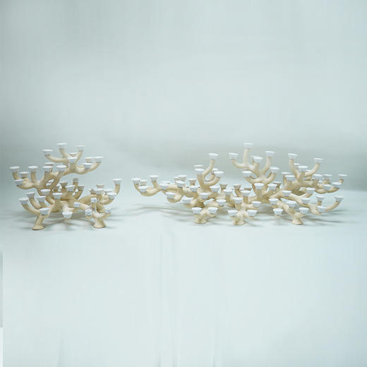 200缸枝状烧制造景 商品图11