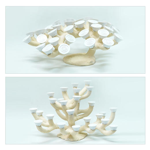 60缸枝状烧制造景 商品图6