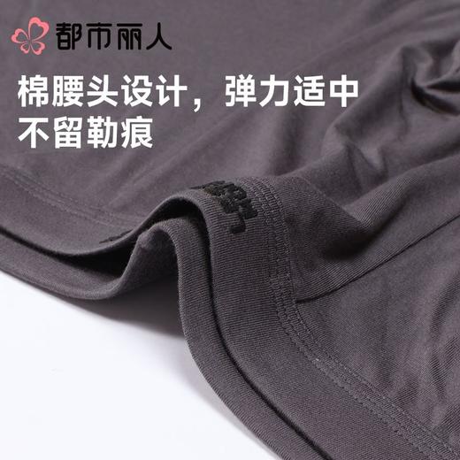 都市丽人内裤男士内裤40S人棉内裤人棉平角内裤氨纶头内裤FKCG01 商品图4