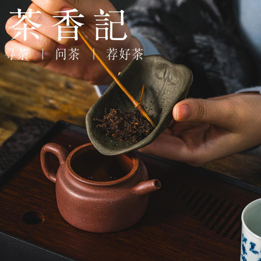 茶香记 青灰段龟甲茶则紫砂泥料茶道配件古朴清雅生动有趣 商品图2