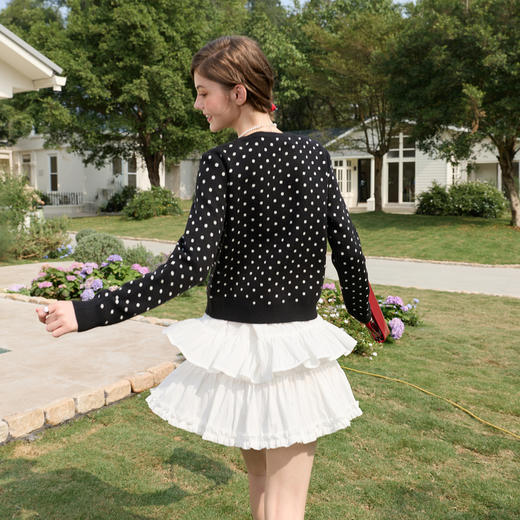 三彩独醒2026春季新款复古波点假两件针织衫圆领毛衫长袖休闲F 商品图3