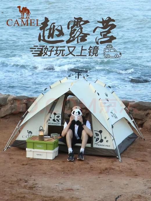 【金皇会员355金币专享】骆驼（CAMEL）帐篷户外便携式折叠野营露营公园野餐全自动帐篷【山系熊猫】 商品图6