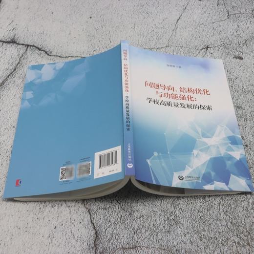 问题导向.结构优化与功能强化:学校高质量发展的探索 商品图3