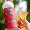 企鹅市集|糯言 草莓米酒/芭乐米酒 新鲜草莓+米酒发酵 0添加糖0香精 纯粹热带水果香 商品缩略图5