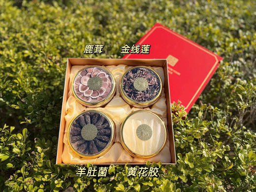 YJF 国红滋补四宝配礼袋（金线莲20g｜梅花鹿茸10｜羊肚菌30g｜黄花胶4条） 商品图2