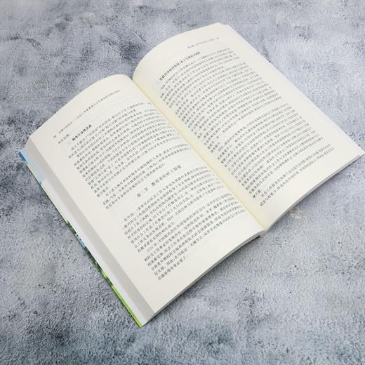 发展中的初生:社会工作教育者作为实践者的反映性研究 商品图4