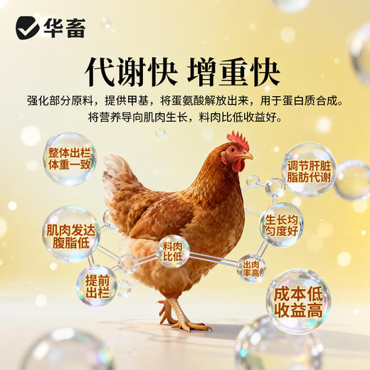 华畜禽健500g 禽用催肥促长 商品图2