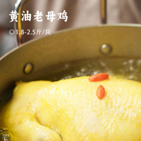 黄油老母鸡 | 买二送一  99.9到手3只 ! 煲汤专用 养足400天 油黄汤也鲜 鲜鸡现杀肉质紧实