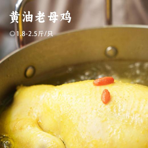 黄油老母鸡 | 买二送一  99.9到手3只 ! 煲汤专用 养足400天 油黄汤也鲜 鲜鸡现杀肉质紧实 商品图0