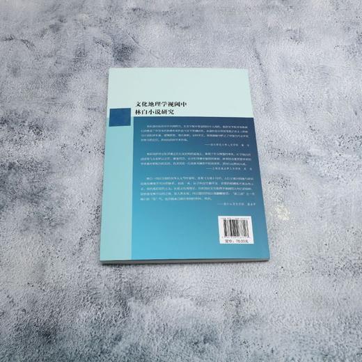 文化地理学视阈中林白小说研究 商品图1