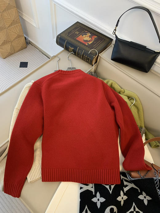 120-3 小马新年红毛衣 商品图12