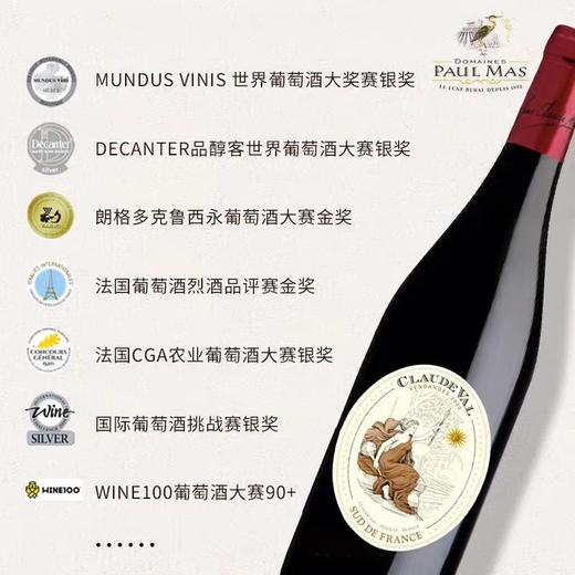 第297期丨保罗玛斯花谷干红葡萄酒2022 商品图2