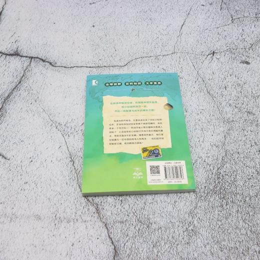 巴厘岛的秘密宝藏 商品图2