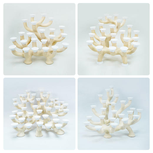 60缸枝状烧制造景 商品图3