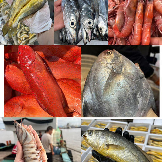 精选舟山海鲜大礼包，承包您节日的“鲜”味道！ 商品图0