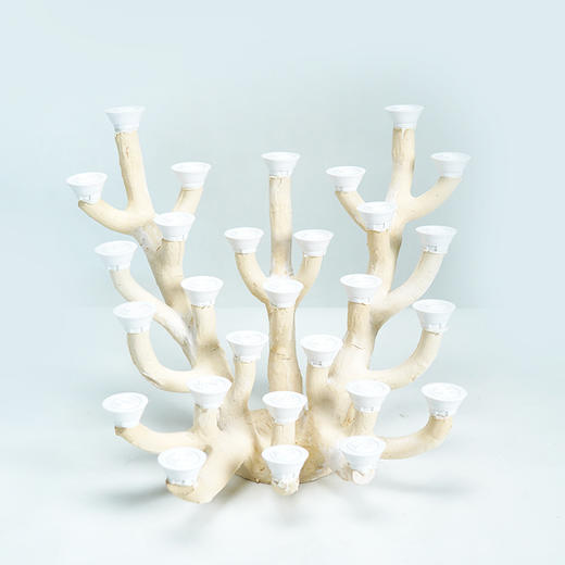 60缸枝状烧制造景 商品图7