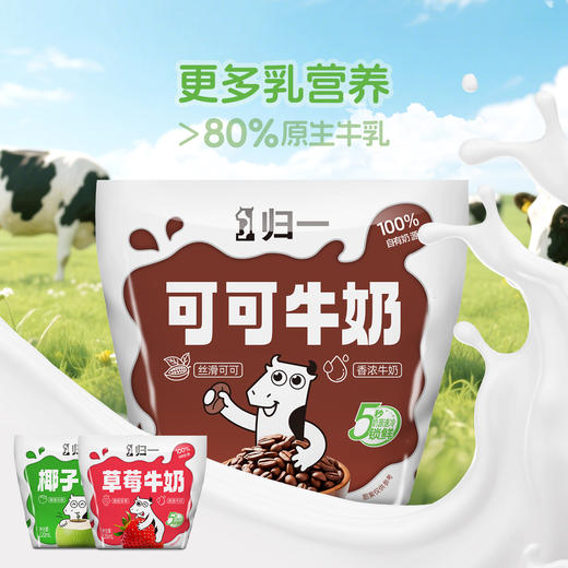归一甜牛奶220mL可可草莓椰子味80%牛乳营养风味早餐奶 商品图5
