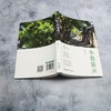 小巷笛声 商品缩略图3