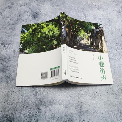小巷笛声 商品图3